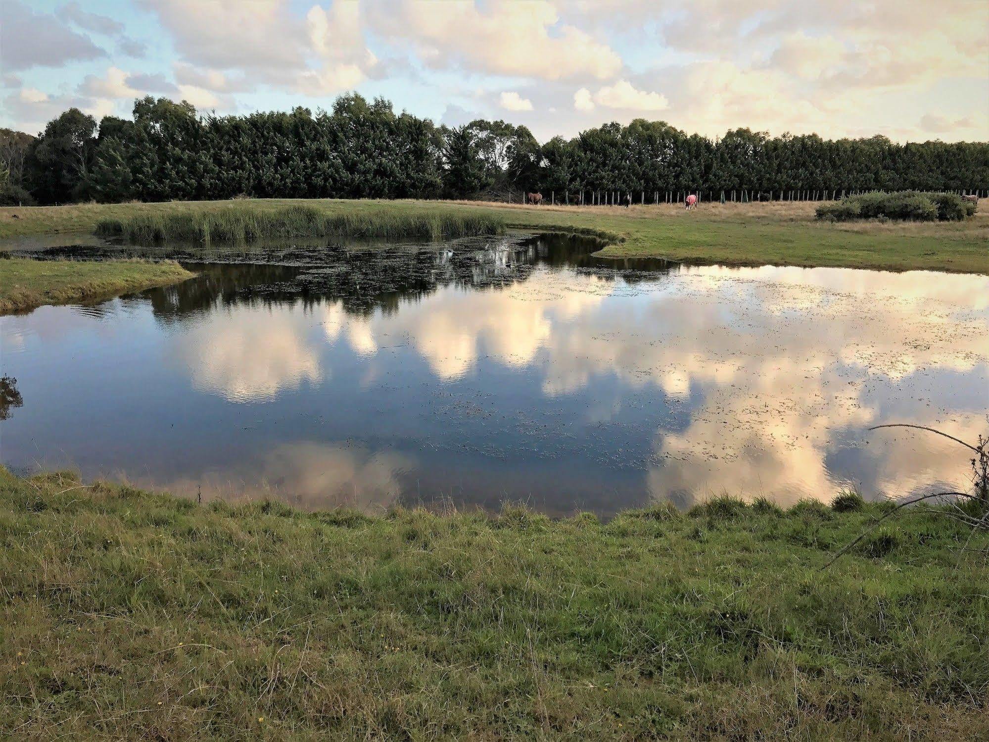 Woodbyne Resort Wimbledon Heights Zewnętrze zdjęcie